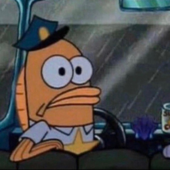 Meet your Posher, Rudy - Picture 1 of 1